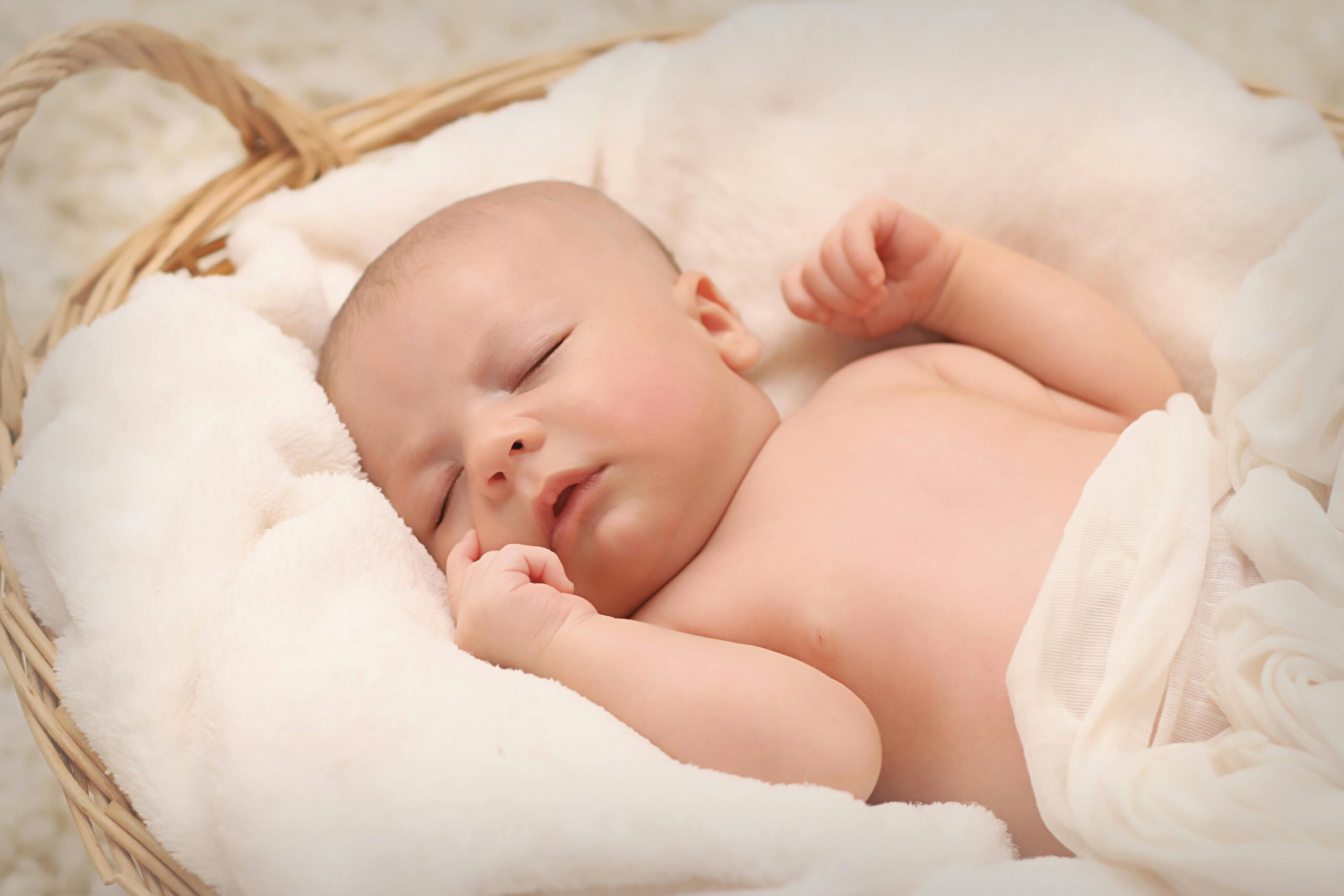 bimbo seminario di imprinting di nascita